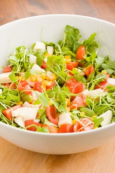 Mixed Salad 