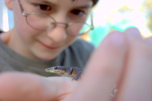 Boy holding lizard in his hand