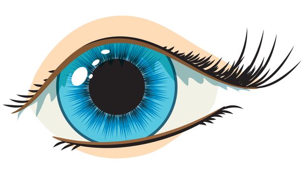 vector blue woman's eye on a white background