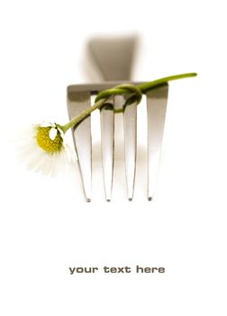 Fork and daisy