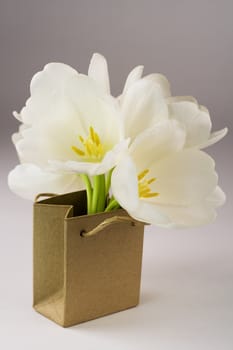 Brown paper bag  with tulips