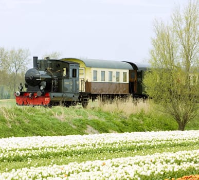 steam train, Hoorn - Medemblik, Noord Holland, Netherlands