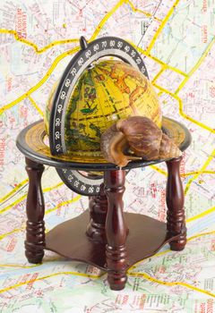 around the world - slowly but safely - snail on the globe