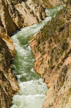 The Grand Canyon of the Yellowstone River, Yellowstone National Park, Park County, Wyoming, USA
