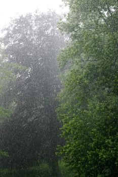 Torrential Rain