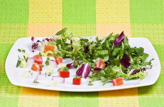 Various salad leaves with tomato, radish and cucumber