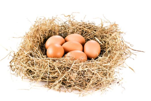 Fresh farm eggs in hay over white background