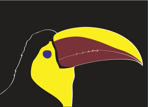 Keel bill toucan