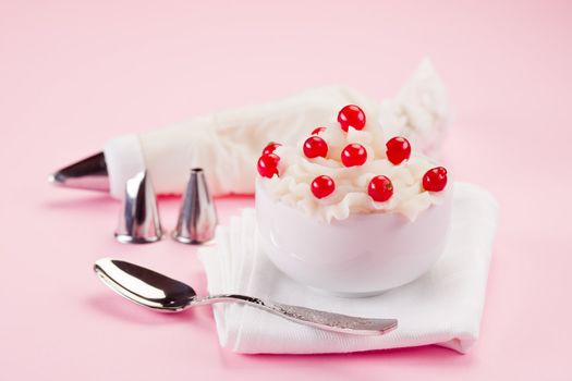 Cream Dessert with currants