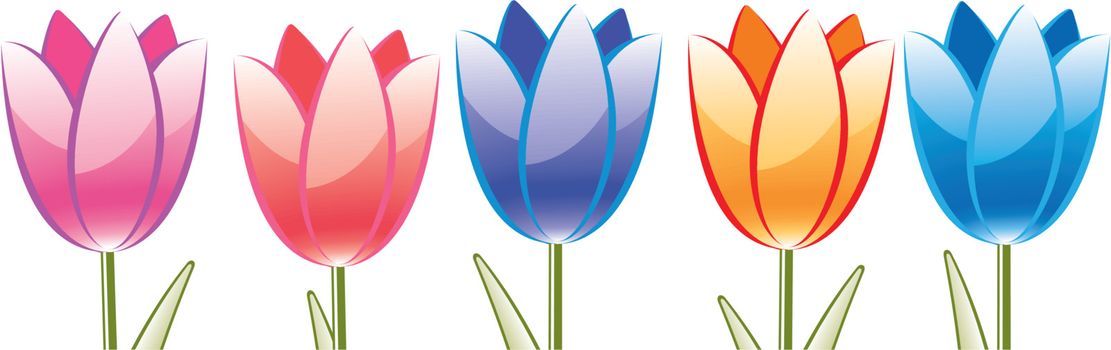 vector bunch of colorful tulips