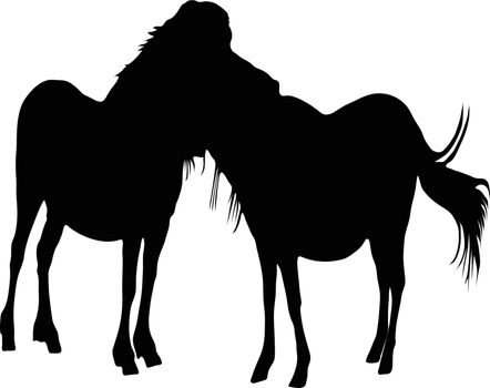Silhouette two horses