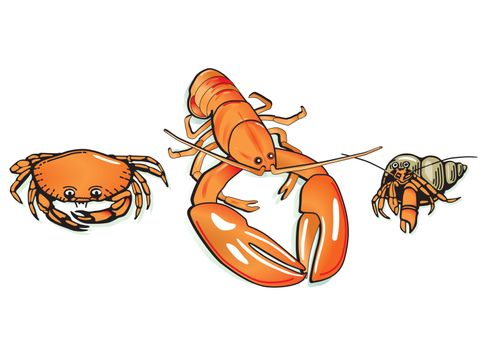 Crabs and Lobsters