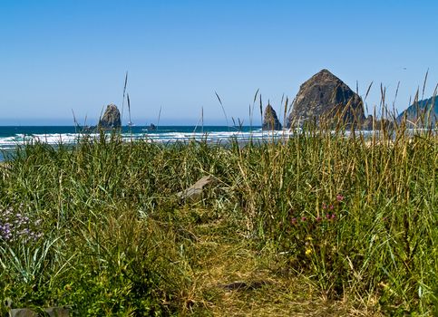 Rugged Rocky Beach on the Oregon Coast featuring Haystack Rock