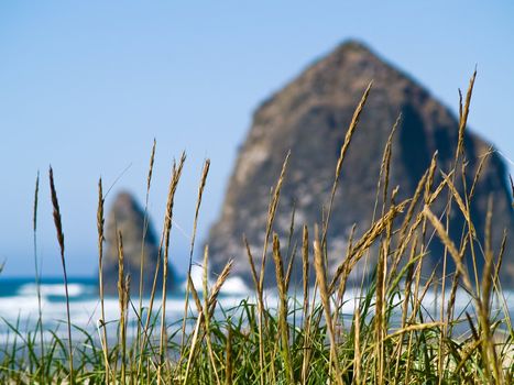 Rugged Rocky Beach on the Oregon Coast featuring Haystack Rock