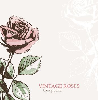 Vintage roses background