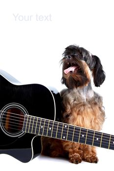 Decorative doggie and guitar.