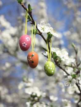 Easter Tree egg