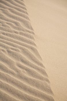 texture sand dune