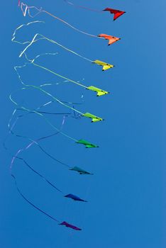 Stack of stunt kites