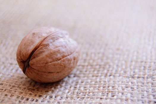Mature walnut on woven fabric