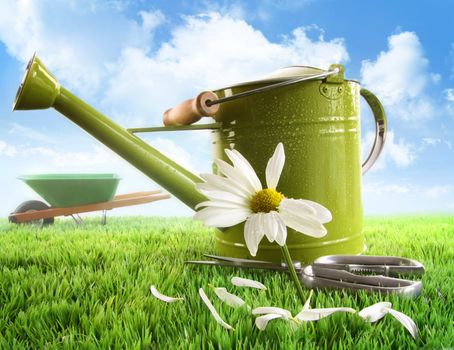 Green watering can with large daisy