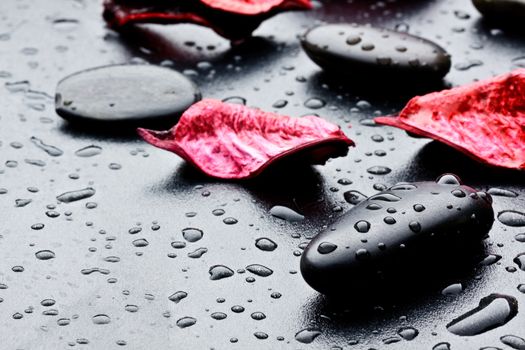 wet black stones and petal