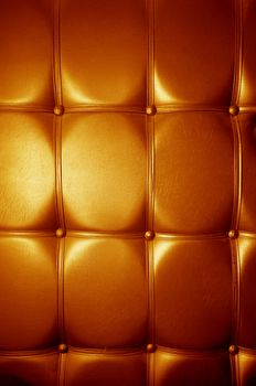 Luxury genuine leather. Golden color