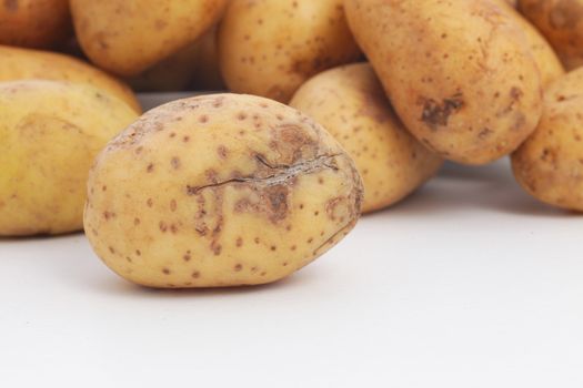 Potato damaged during harvesting