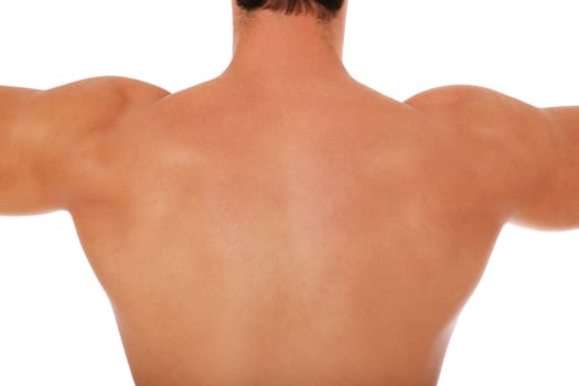 Muscled back of a male person. All on white background.