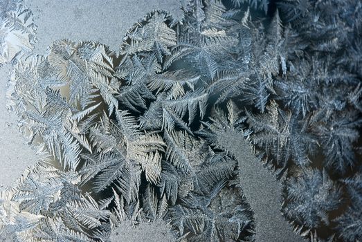 Frost on the Windowpane