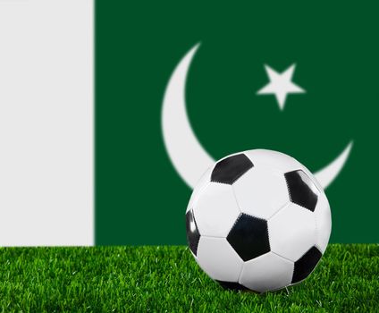 The Pakistani flag