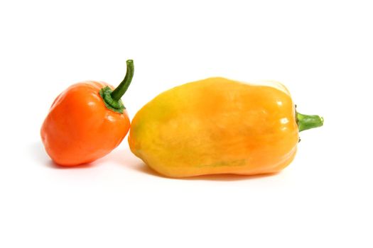 Habanero Capsicum chili hottest pepper