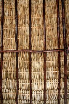 dried palm tree leaves palapa roof and beams