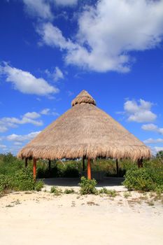 Big Palapa hut sunroof in Mexico jungle