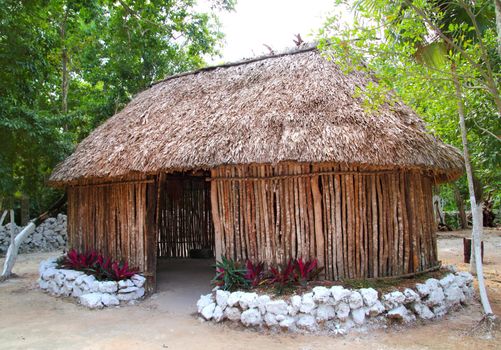 Mayan Mexico wood house cabin hut palapa