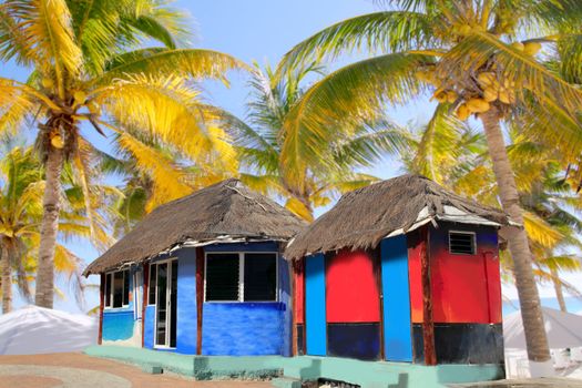 hut palapa colorful tropical cabin palm trees