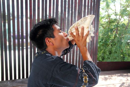 Mayan man blowing seashell as horn in jungle