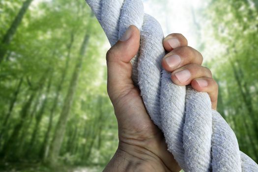 man hand grab grip climbing green forest rope