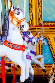 horses in merry go round fairground