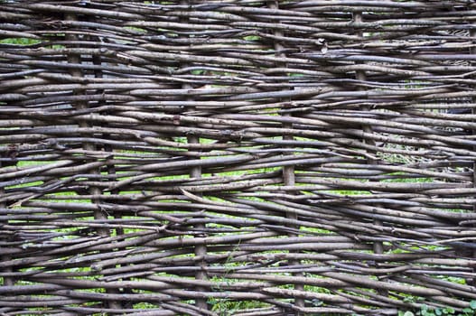 Fragment of wicker fence