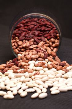 multicolored kidney haricot beans