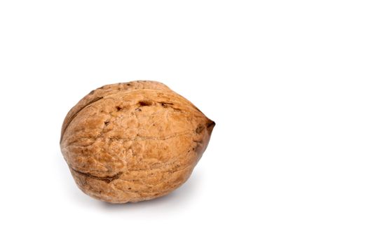single fresh walnut