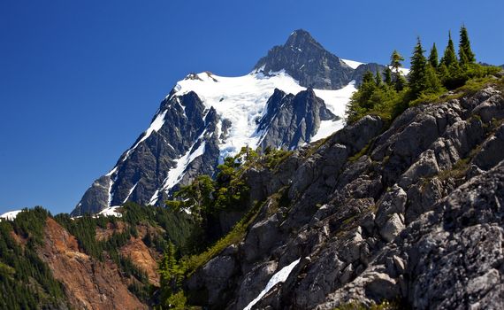 Mount Shuksan Close Up Evergreens Artist Point Washington State