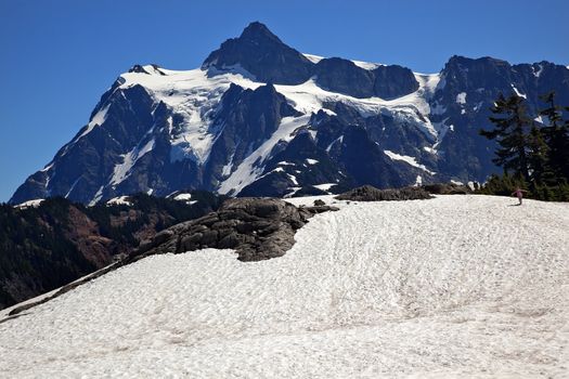 Snowfields Artist Point Mount Shuksan Washington State