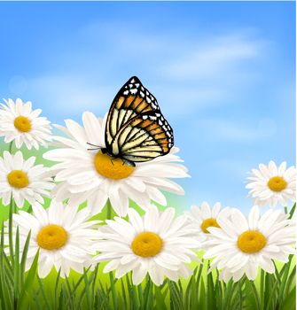 Nature background with summer flowers and butterfly