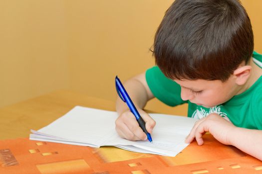 school boy writting homework in workbook