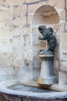 Lion drinking fountain in wall of Town Hall