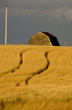 Rural Saskatchewan