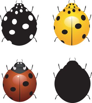 Set vector illustration of ladybirds 