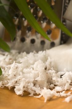 Grated coconut with grater and nut 